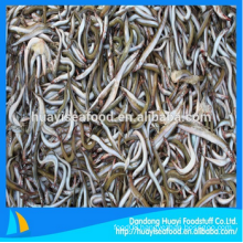 yummy frozen bqf supply sand lance